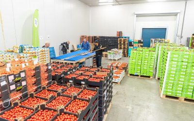 Wij hebben 1 miljoen kilo groente en fruit gered!