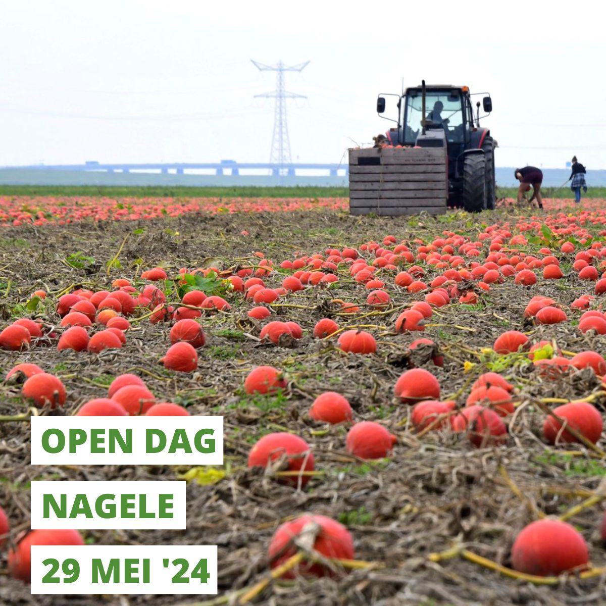cheque Rabo Impactfonds